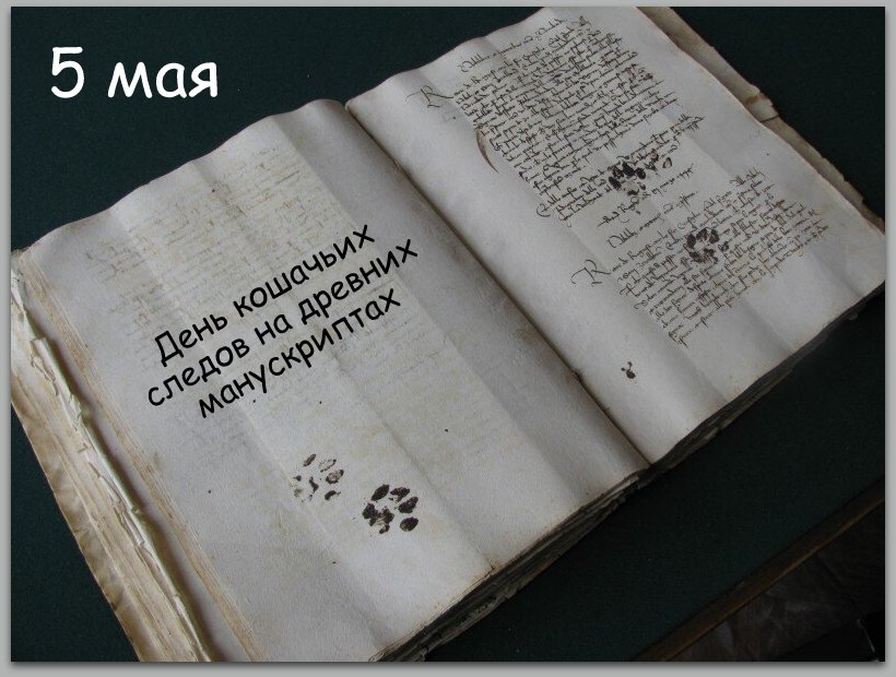 Коллаж автора