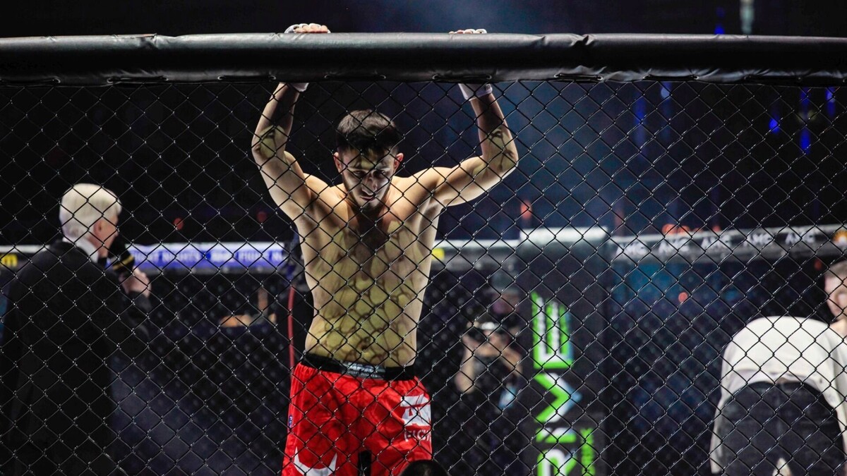     Источник: 1MI