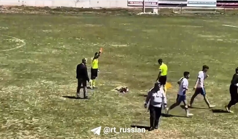    В Турции судья удалил собаку с футбольного поля, показав ей красную карточку