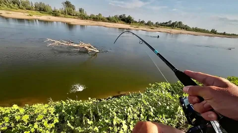 Фото с сайта: https://sun6-23.userapi.com