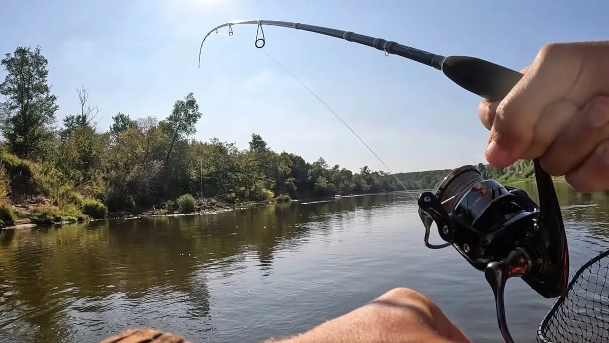 Фото с сайта: https://i.ytimg.com/vi/aWqkQDYfSFg/maxresdefault.jpg