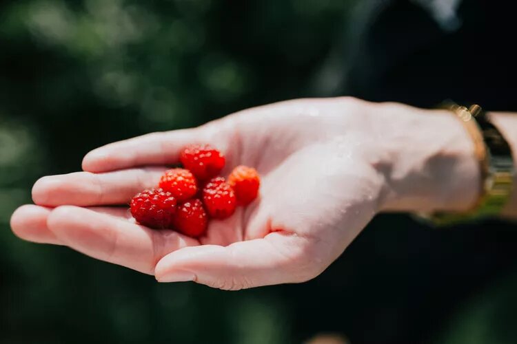    Jozef Potoma / Getty Images