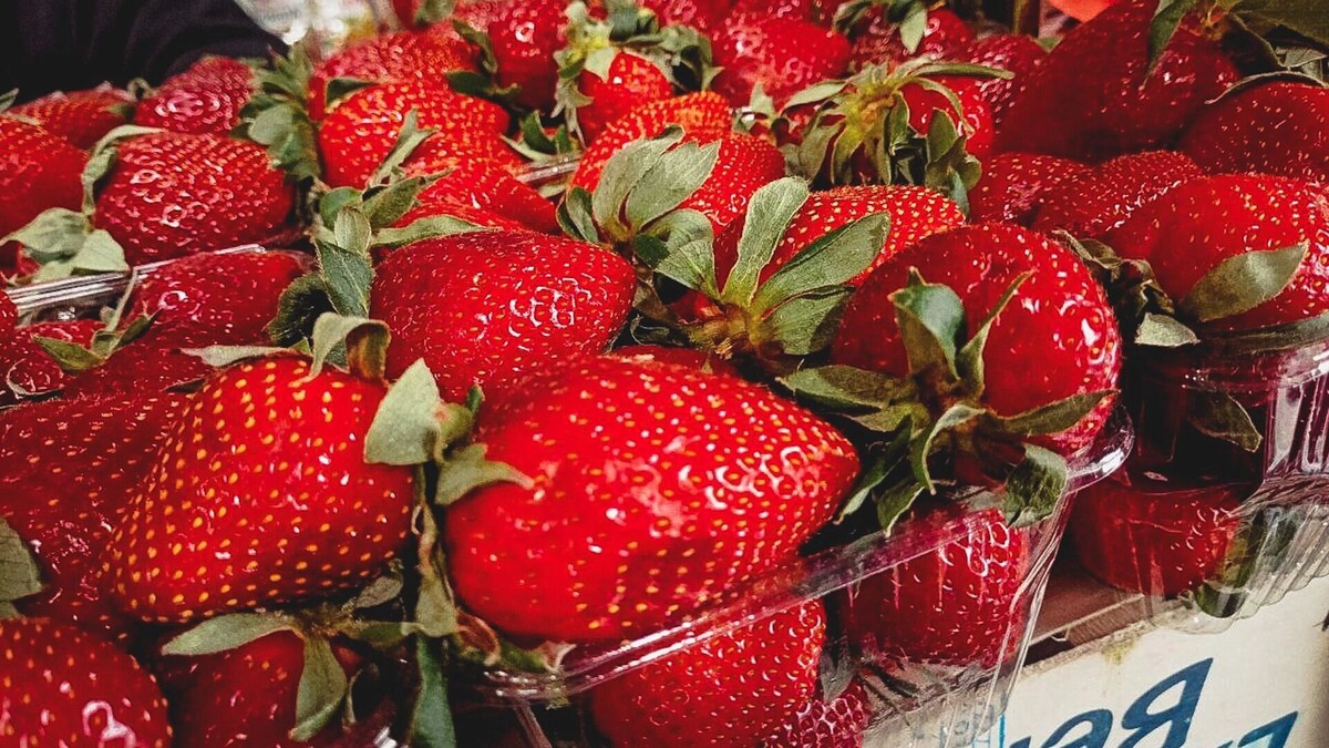     Источник: 1MI