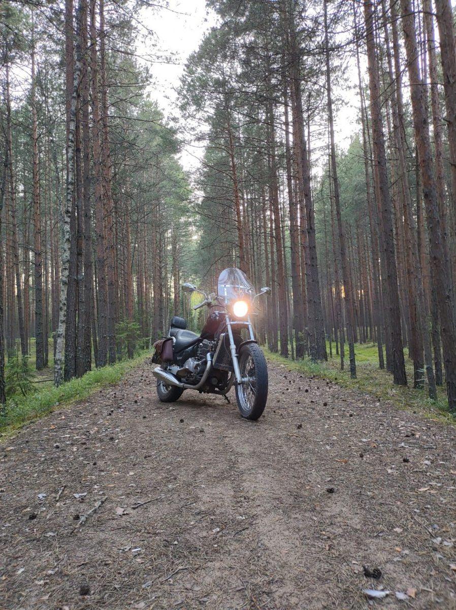 Kawasaki Vulcan EN400 1993 г.в.