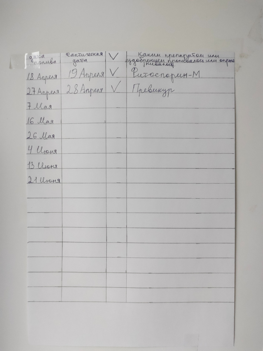 Рисунок 1 - График полива.