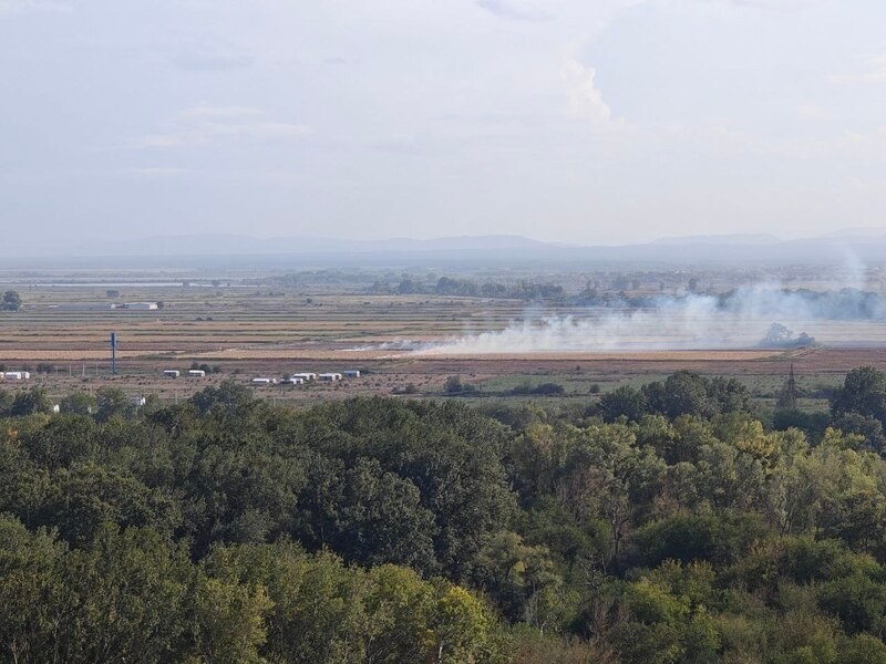    Фото: Юрий Серебренников/BFM Кубань