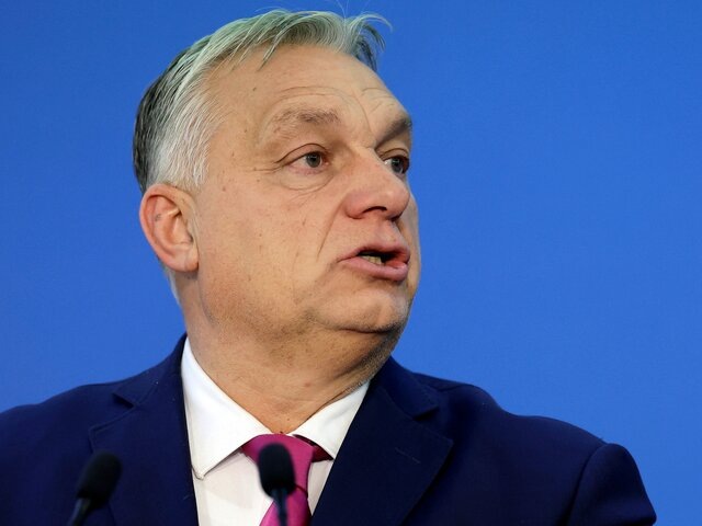    Фото: ТАСС/EPA/ROBERT GHEMENT