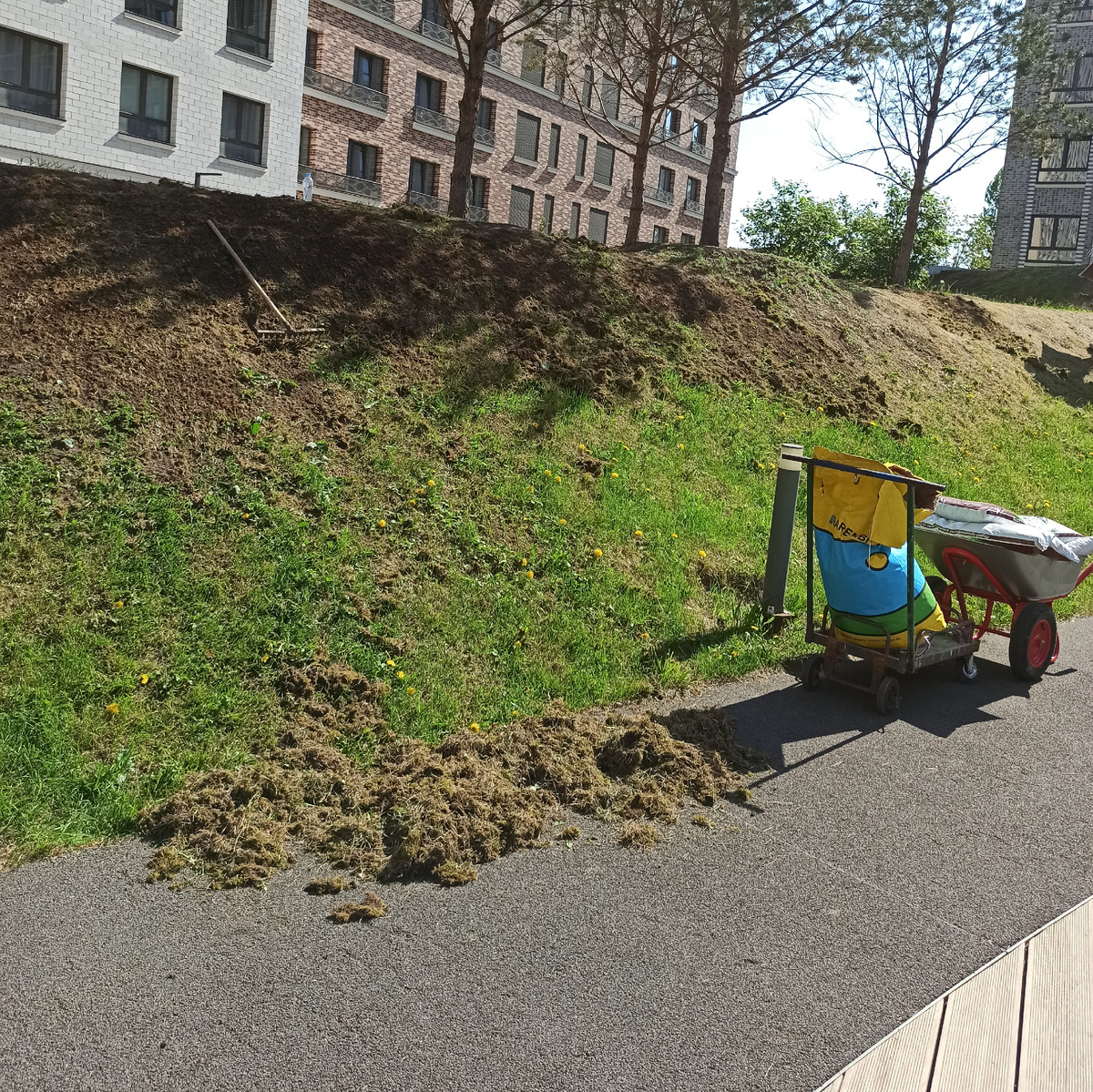 Очистили участок от мха, старой травы