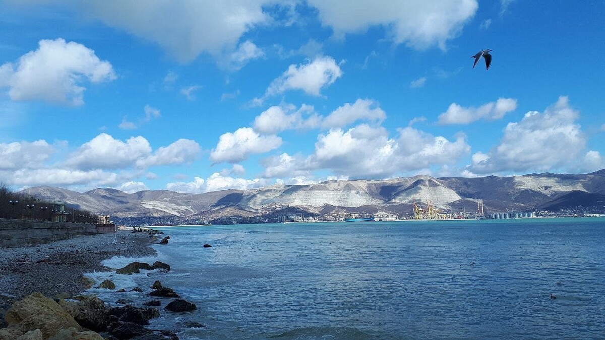    Фото: телеканал «Краснодар»