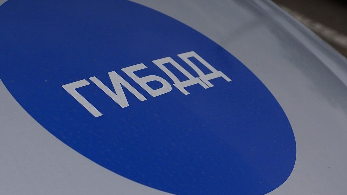    Фото: телеканал «Краснодар»