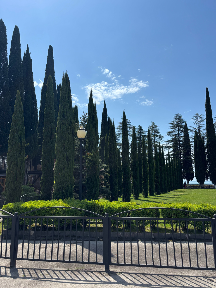 Кипарисы перед рестораном, а через дорогу море