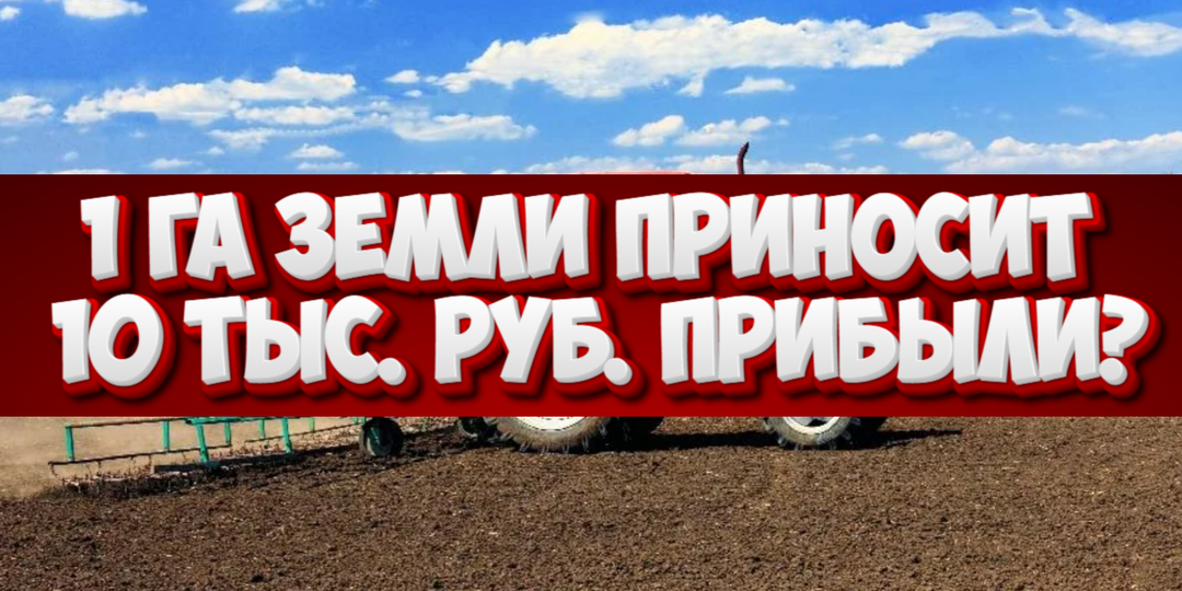 Тихий закат российского фермерства: как гибнет малый агробизнес и что нас ждет