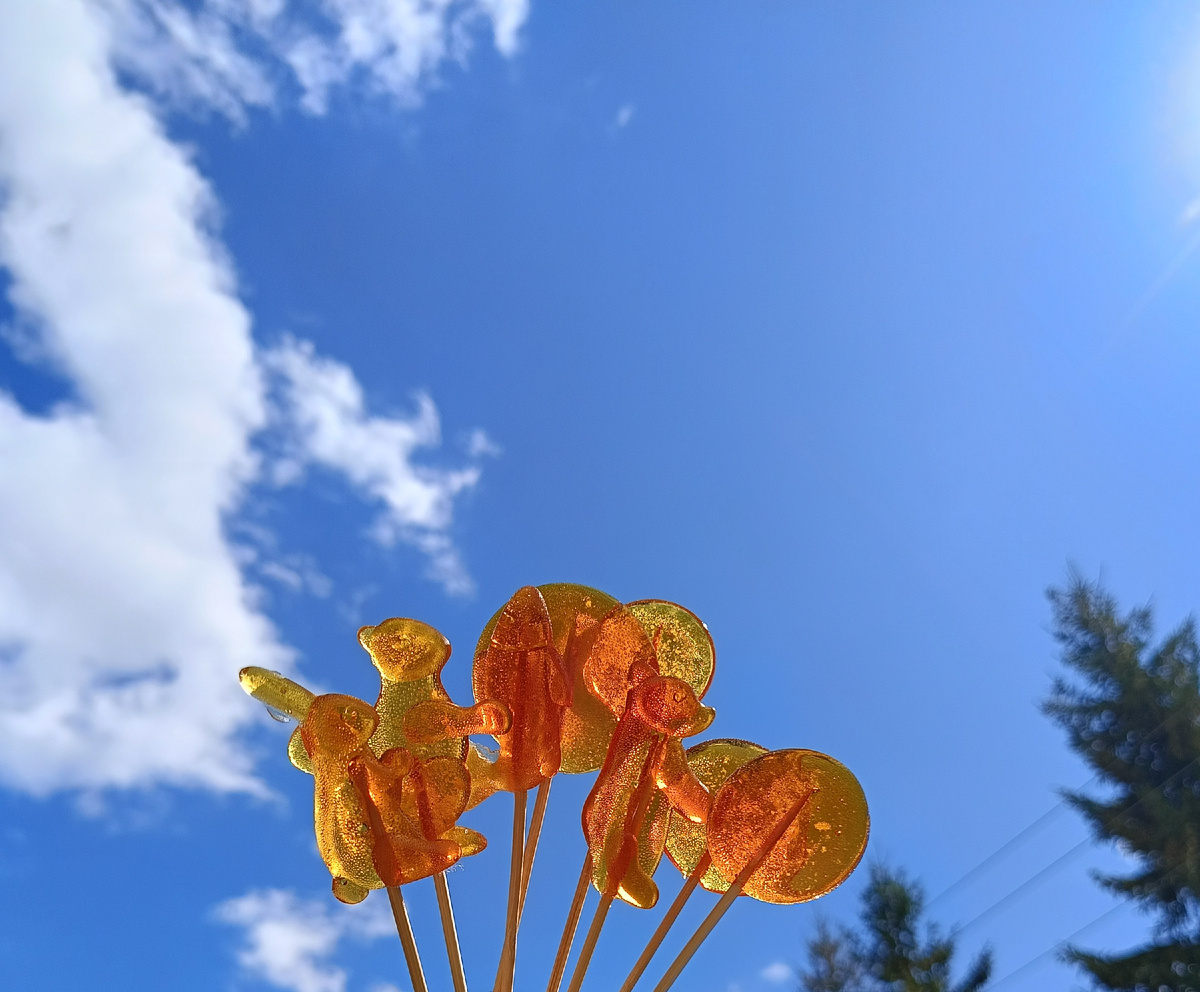 Готовые лединцы