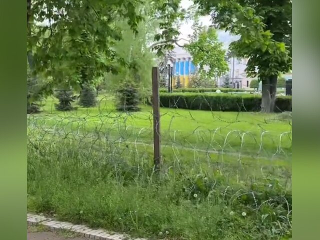    Фото: телеграм-канал "Фото и видео с ЧП/ДТП/Очевидцы"