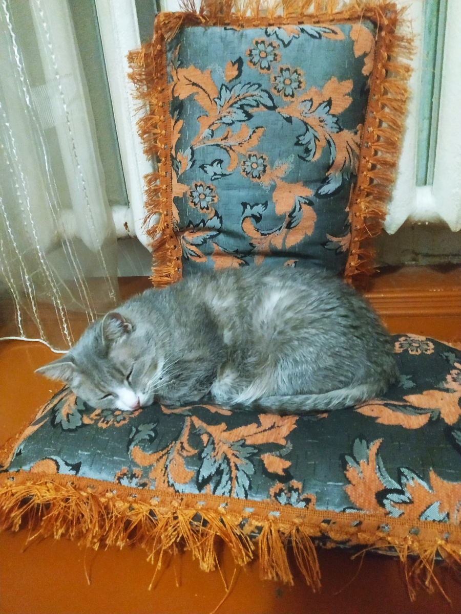 О гаджетах для сна не знает 