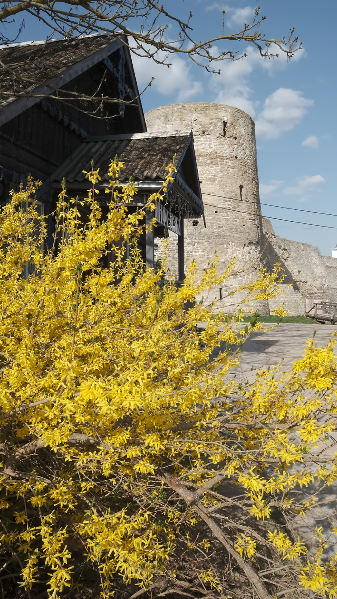 Крепость в Изборске. 