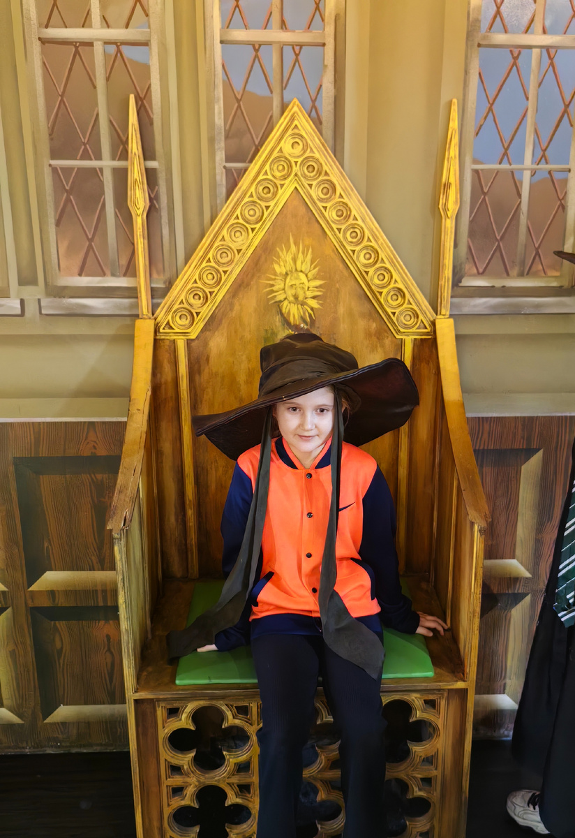 Говорящая шляпа выбирает вам факультет.