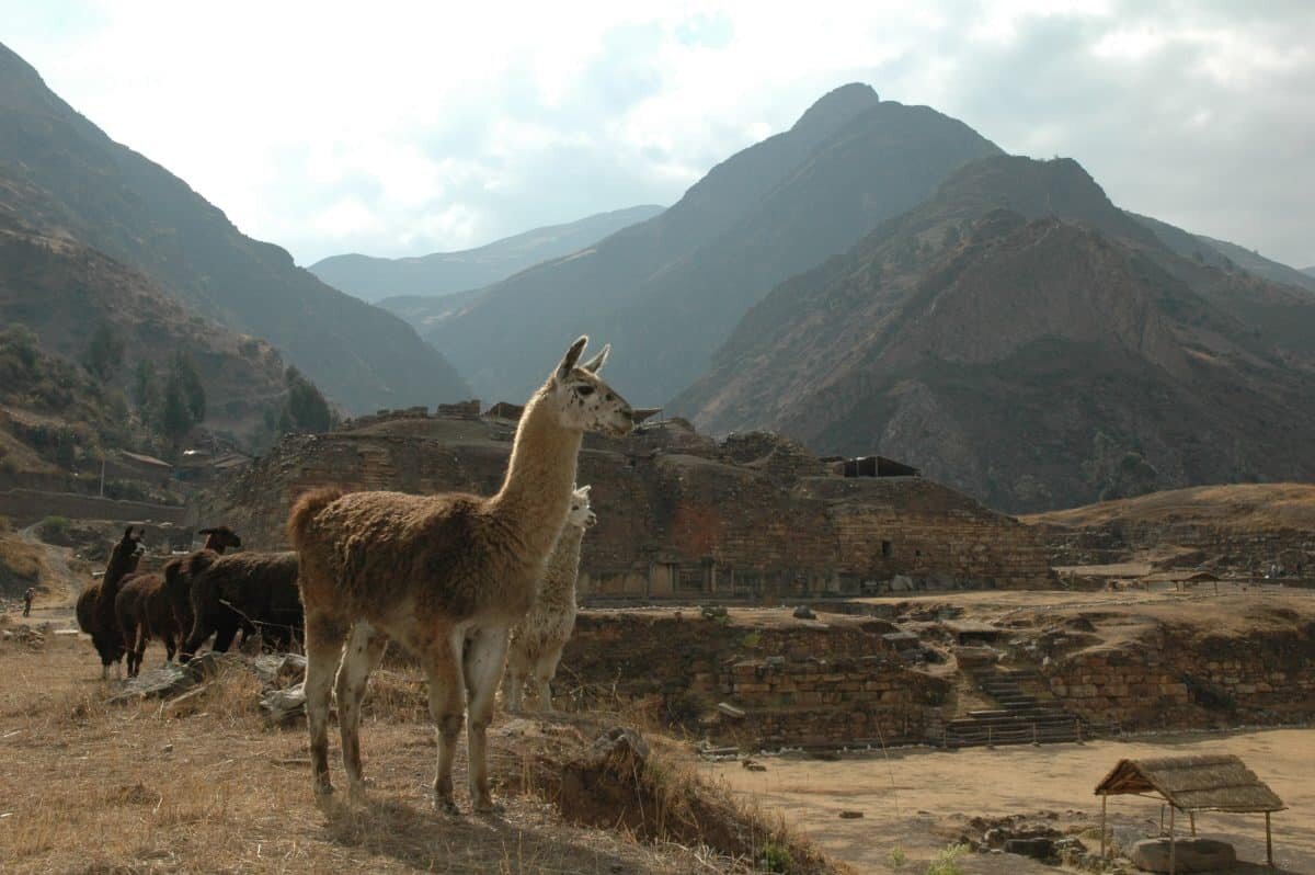    Комплекс Чавин-де-Уантар в Перу расположен на высоте 3200 метров, состоит из нескольких монументальных сооружений и возвышающейся большой площади / © Daniel Contreras