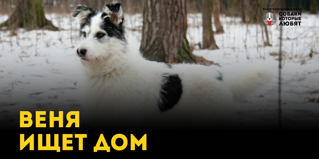 Веня ищет тех, с кем будет по-настоящему хорошо.