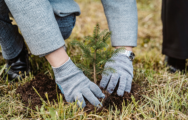 489 тверских школ участвуют в акции «Аллея Героев»