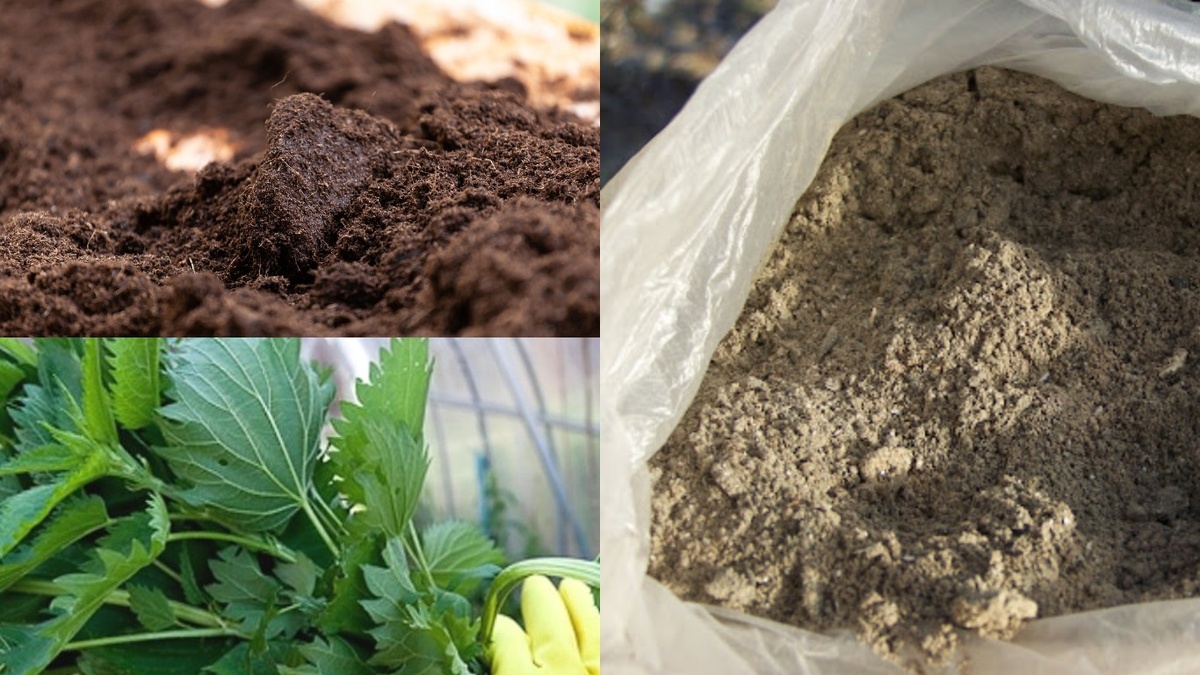 Готовлю компоненты для подкормки. Важно использовать только свежую крапиву и чистую золу