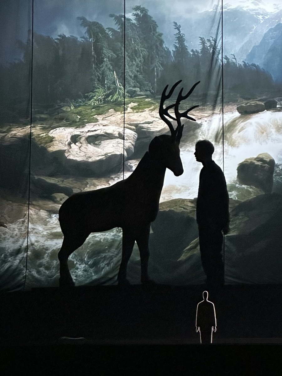 Сцена из спектакля «Биография из леса». Тюменский драматический театр. Фото автора.