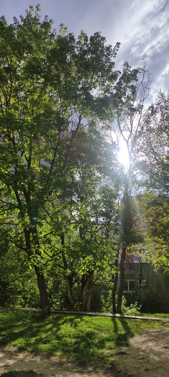 Фото автора