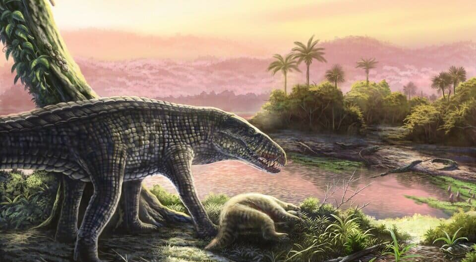   Jorge Machuky / Florida Museum