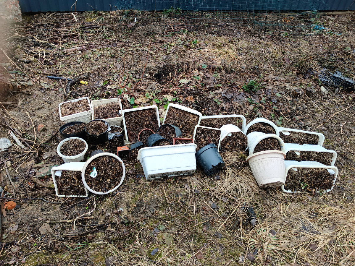 и так уже 3 зимы. Фото из личного архива автора