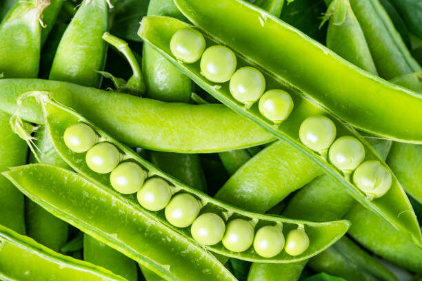 приметы про лук, чеснок, горох