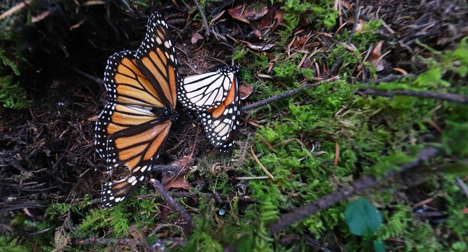    Carlos Santiago/Keystone Press Agency / www.globallookpress.com