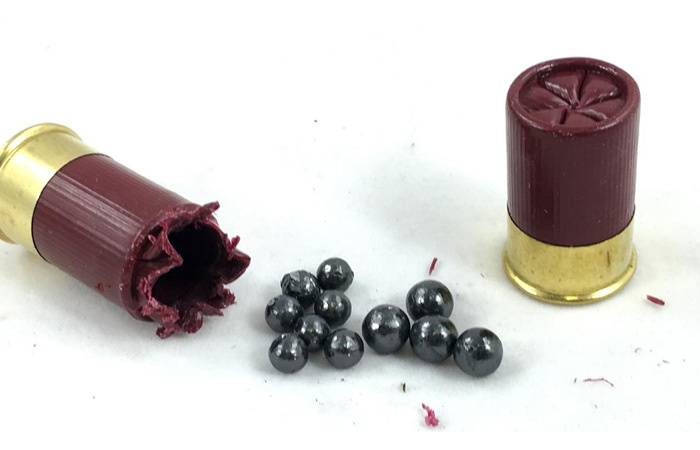 Картечь и дробь./ Фото: blogspot.com