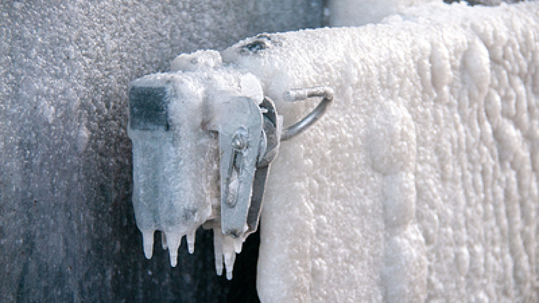    Фото: Svetlana Vozmilova/Globallookpress