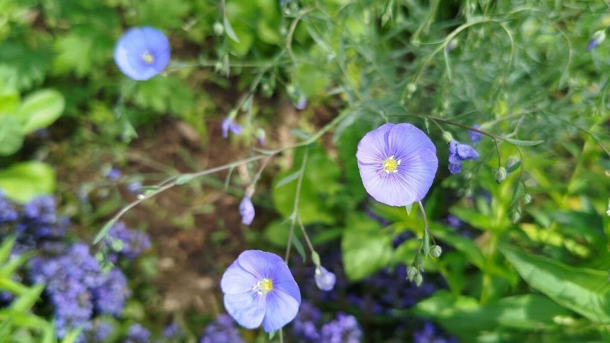    Фото: телеканал «Краснодар»