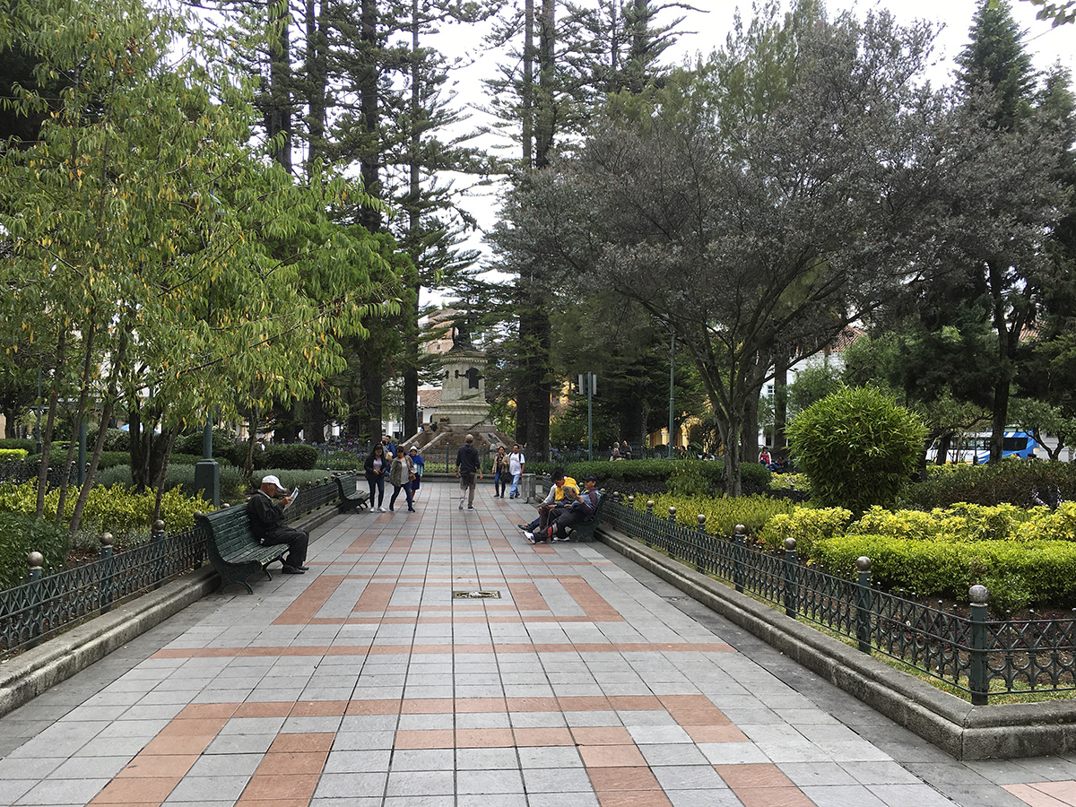 Парк Кальдерон, Куэнка, Эквадор. Фото автора