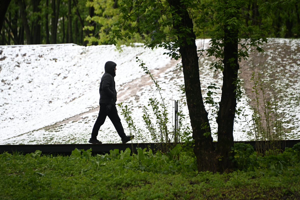 Фото: Globallookpress.com