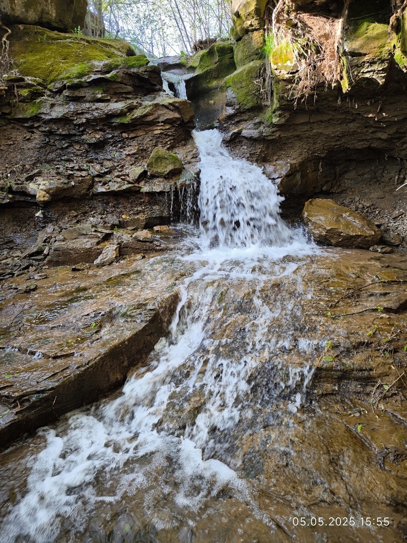 Вот он, «Шарлавык»!