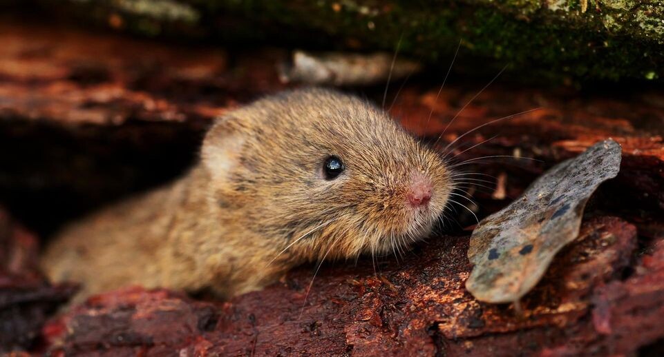    Wolfram Steinberg/ dpa / www.globallookpress.com