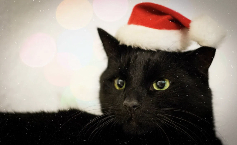 Эх пока Мася