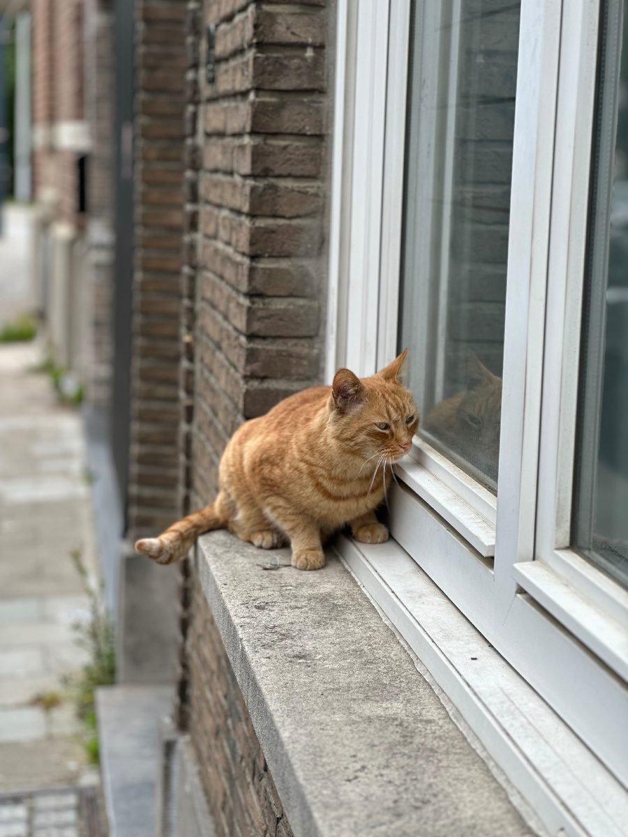 Но милый, ласковый😊