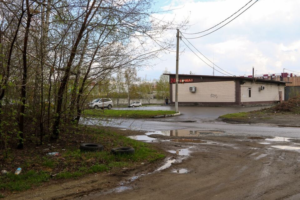    Березовая роща, высаженная в честь 35-летия Победы в ВОВ (район ул. Антона Петрова). Источник: Виталий Барабаш