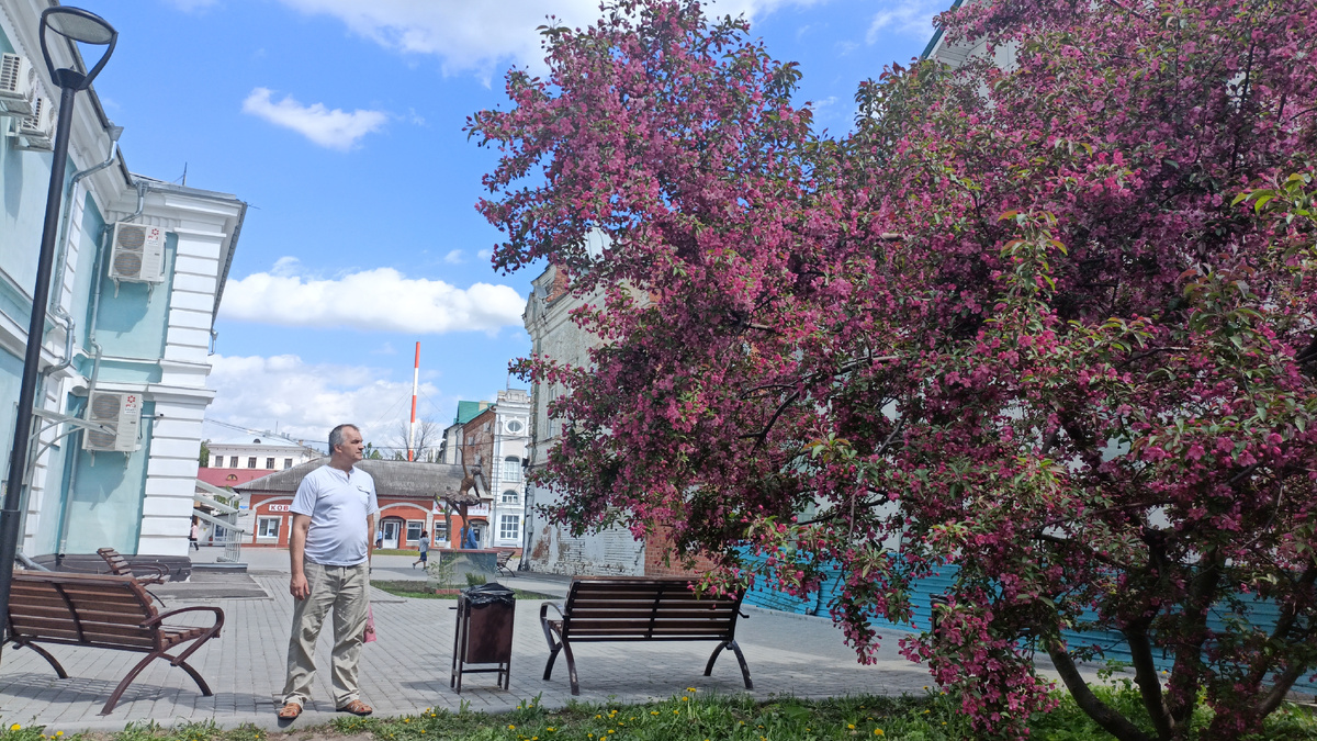 Декоративная яблоня и Олег любуется)