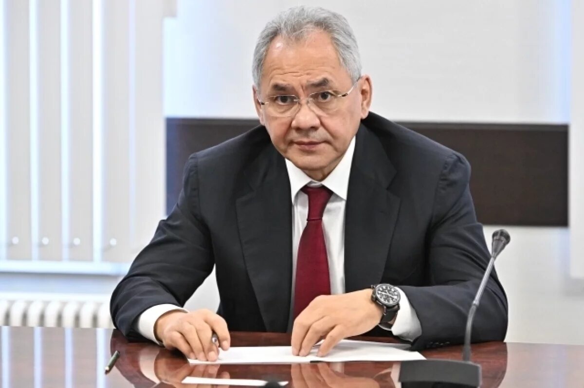    Шойгу: НАТО и ЕС готовят Запад к прямому конфликту с Россией