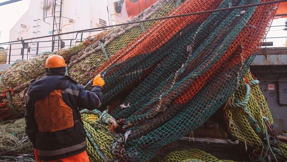     Источник: 1MI