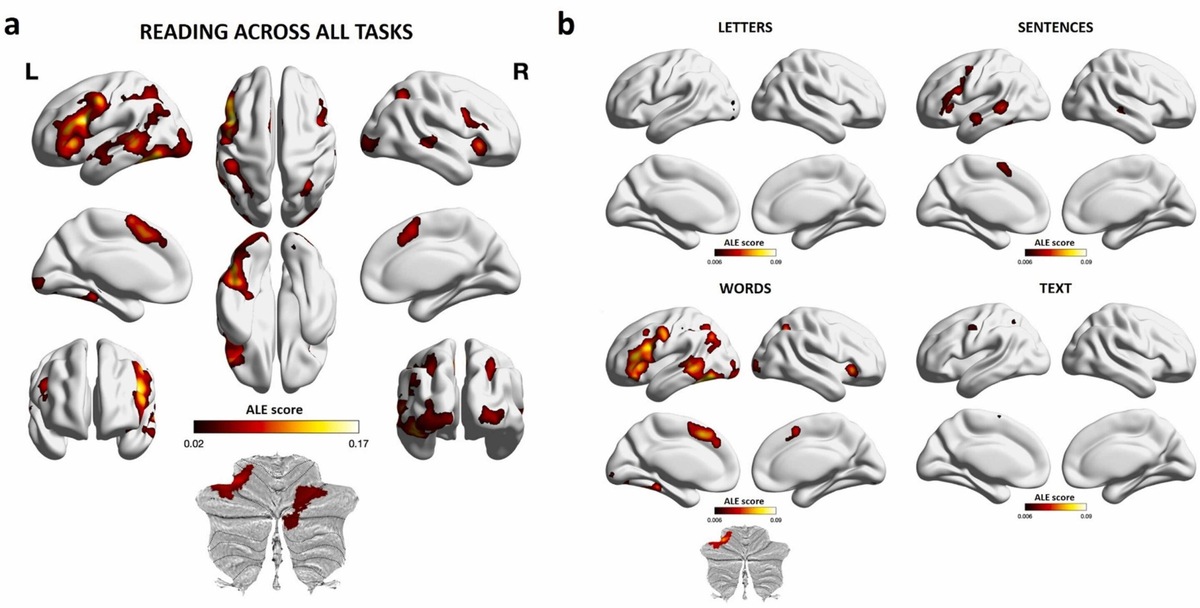    Neuroscience & Biobehavioral Reviews