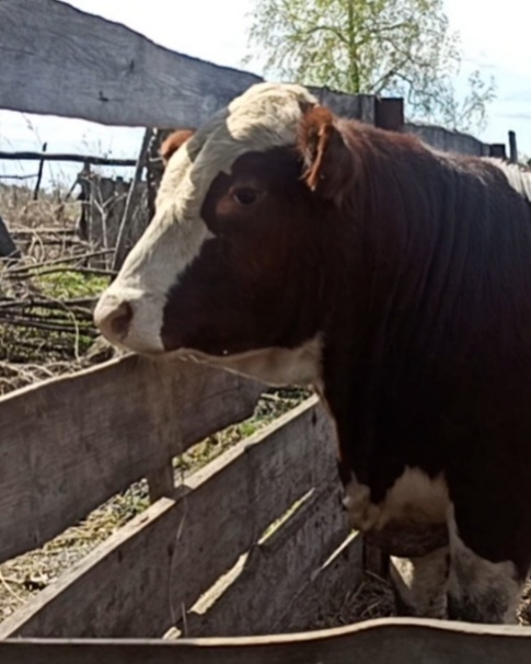 Маленький мальчик! Ему ж ещё и года то нет🤗