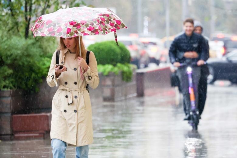    Алексей Белкин/NEWS.ru