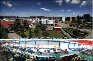 понорама еще та