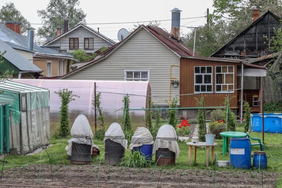    Сергей Булкин/NEWS.ru