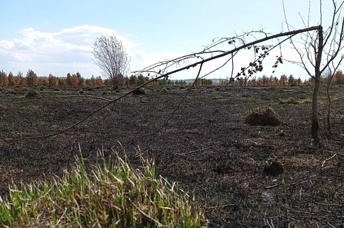    Режим ЧС ввели в Баунтовском районе Бурятии из-за лесных пожаров